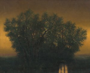 夕方